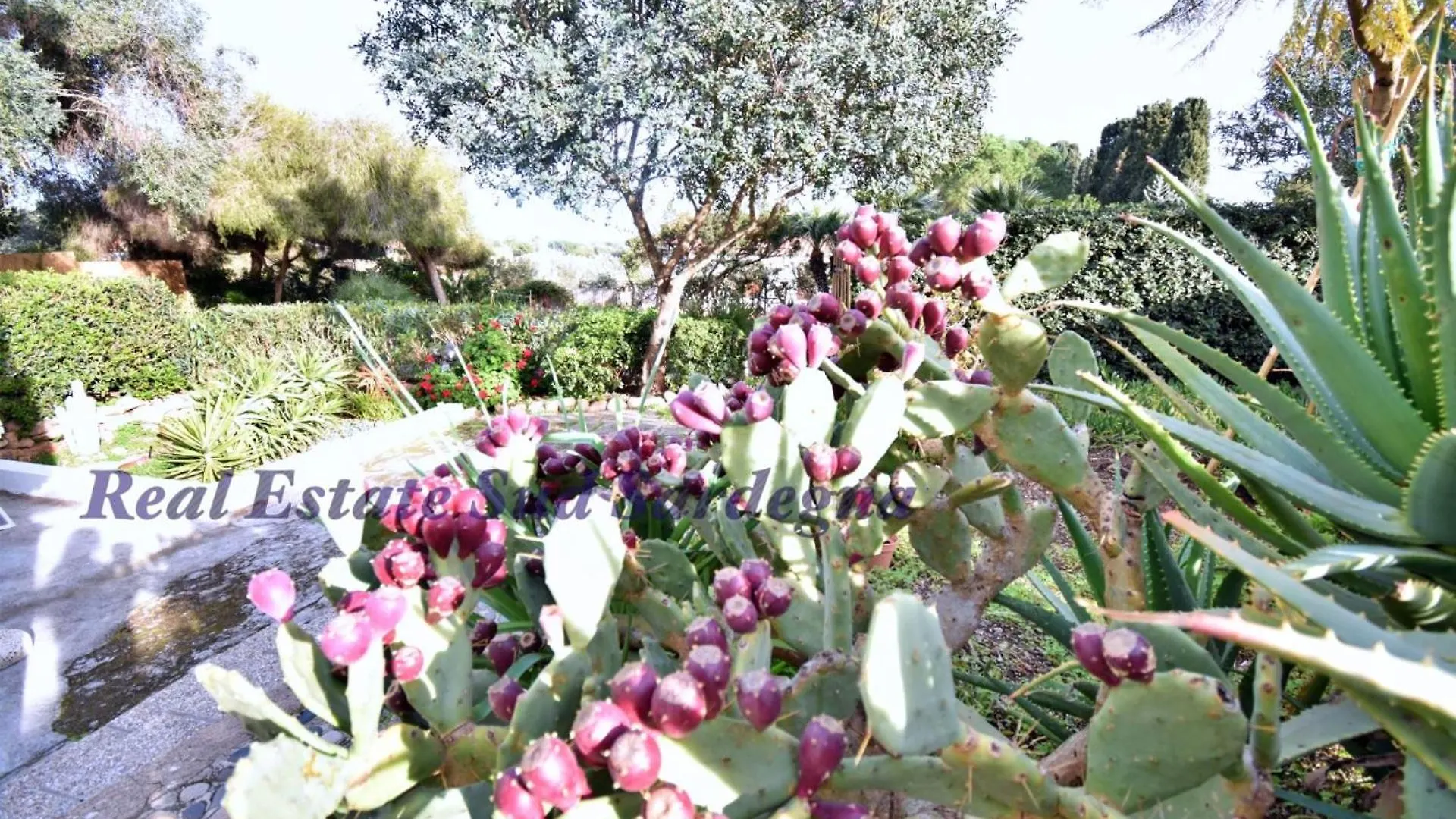 Tatil Evi Villa Virginia Sarroch